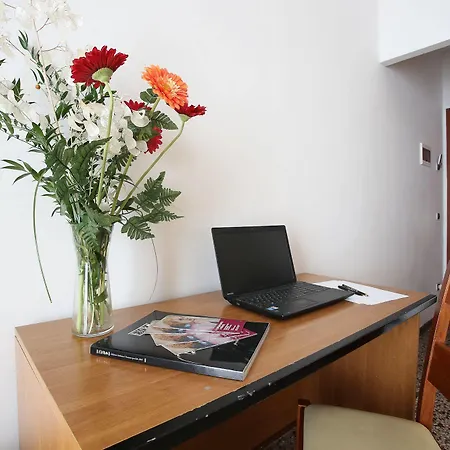 Casa Del 3*